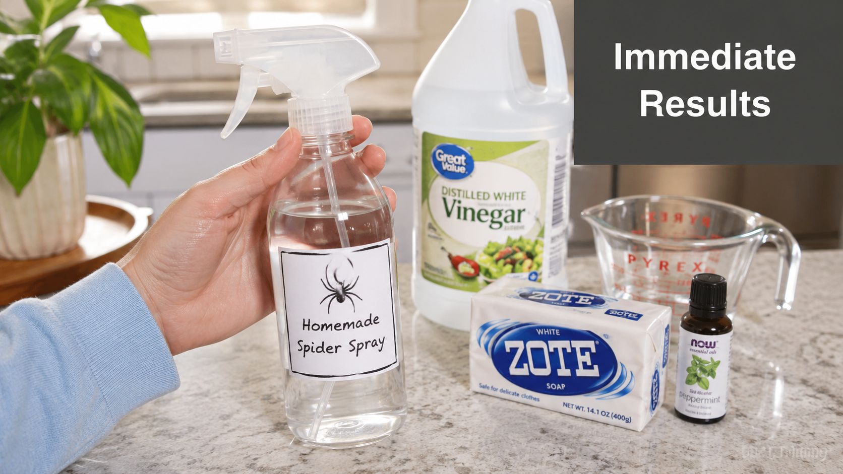 Homemade Spider Killer: Safe DIY Recipes That Work